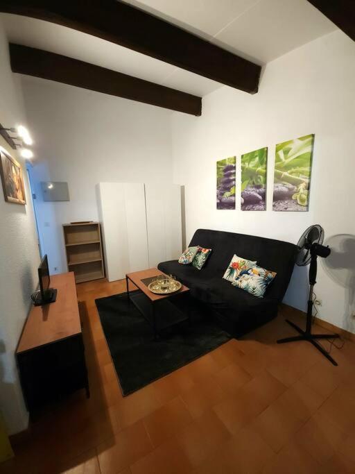 A 8 Mn A Pied Des Plages Appartement Avec Piscine Et Tennis 滨海阿热莱斯 外观 照片